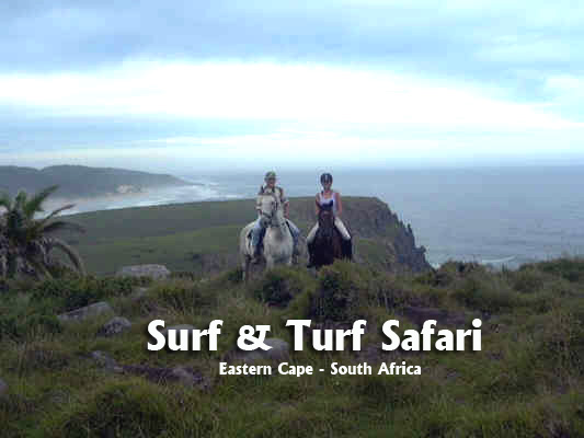 Surf and Turf Safari - Wild Coast ... Eastern Cape in South Africa