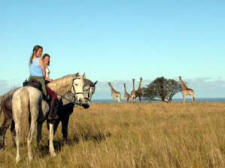 Randonnées équestres et safari à cheval sur la Côte Sauvage de l'Afrique du Sud, longs galops sur les longues plages désertes de l'Océan Indien, safaris aux côtés des antilopes, gnous, girafes, zèbres... Découverte insolite des facettes cachées de l'Afrique du Sud, villages Xhosa et art de vivre à l'africaine...