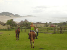 Arrivée au Wavecrest avec une vue époustouflante - Wild Coast - Afrique du Sud - Randocheval