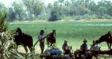 Riding Safari