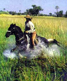 Riding through the Okavango Delta