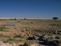 Salt Pan