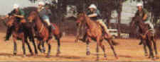Horseback vacations at Triple B Ranch