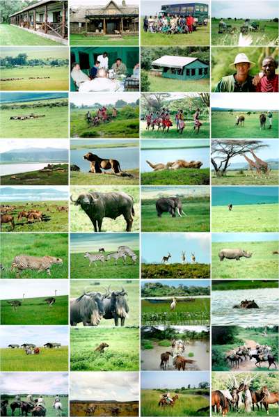 Images from our recent horseback riding tour in Kenya and Tanzania