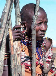 Come and walk with the Massai!