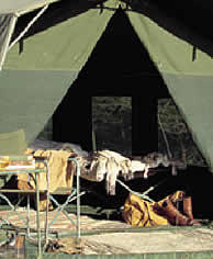 Safari tent