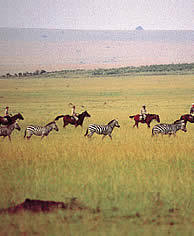 Great Mara plains