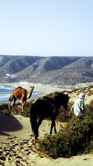 Horse riding vacations in Morocco