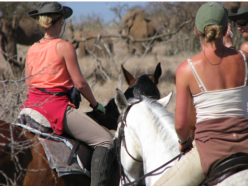 Riding on Kilimanjaro with Equestrian Safaris