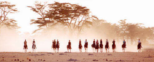 Giraffes with riders in the background