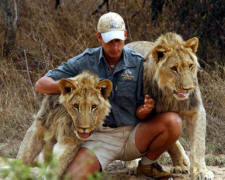 Lion cubs at Victoria Falls