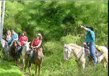 Horse Back Riding