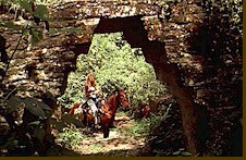 Horseback riding Tours - Buena Vista ruins