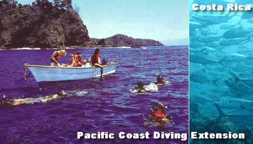 Costa RIca - Pacific Coast diving excursion with Hidden Trails