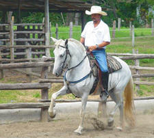Old Spanish Trail of Guanacaste
