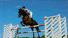 Jumping at Casa de Campo