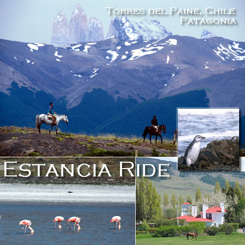 Chile - Torres del Paine Estancia Ride with Hidden Trails
