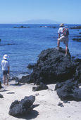 Galapagos