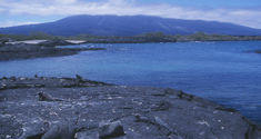 Galapagos