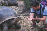 Galapagos