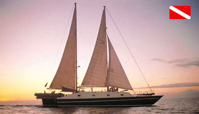 Lammer Law Under Sail