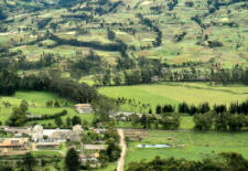 Hacienda Zuleta