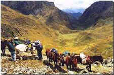 Overlooking a glorious valley  -  Photo: Adventure Specialists