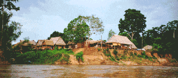 The Settlement of Boca Manu