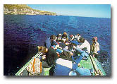 Lake Crossing