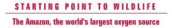 Starting Point to Wildlife