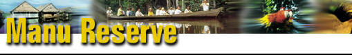 Condor Travel - Incoming Packages - Manu Reserve