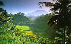 Bali, Island of the Gods