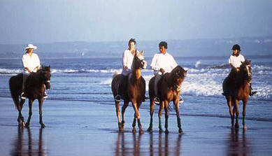 on a Beach Tour