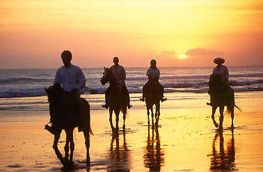 The Umalas Equestrian Resort Bali