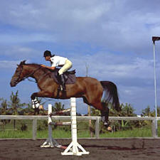 The Umalas Equestrian Resort Bali