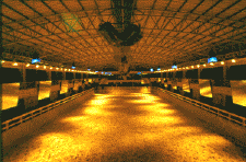 The main arena and place of the weekly spectacle