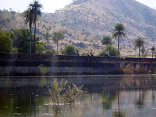 Castle to Castle Safari in Rajasthan
