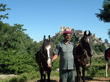 Mewar Safari in Rajasthan
