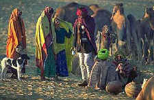 Pushkar Fair Riding Safari in Rajasthan
