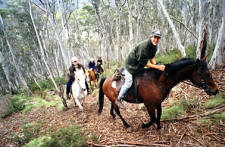 Horsetreks