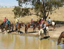 A horse ride at Pubcrawls on Horseback
