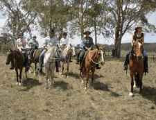 a scenic view of the country travelled through with pub crawls on horseback