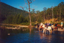 a scenic view of the country travelled through with pub crawls on horseback