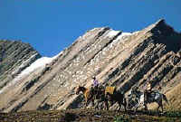 Riders and Horses