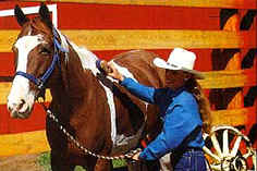Trail Riders