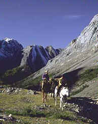Pack Ride photo