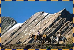 Riders and Horses
