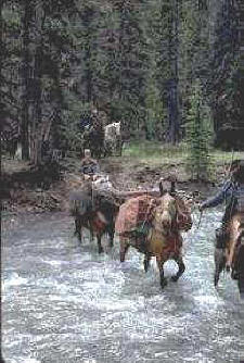 Horseback riding at is't best