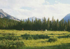 Tranquility in the Elbow Camp