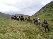 A horse trip on Grizzly Mountain with Yukon Horsepacking Adventures.